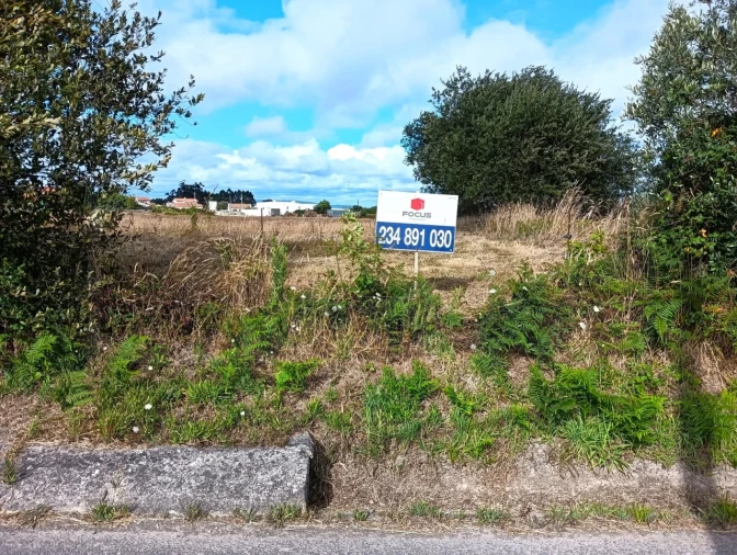Terreno Agricola ou Rústico para Venda em Cacia Foto 1