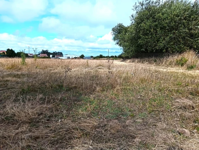 Terreno Agricola ou Rústico para Venda em Cacia Foto 4