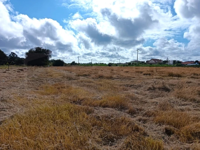 Terreno Agricola ou Rústico para Venda em Cacia Foto 6