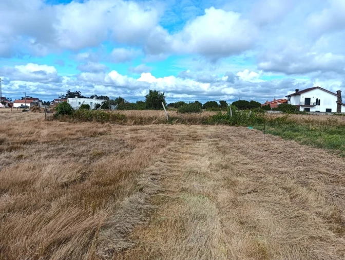 Terreno Agricola ou Rústico para Venda em Cacia Foto 7