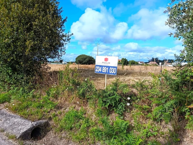 Terreno Agricola ou Rústico para Venda em Cacia Foto 11