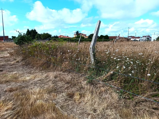 Terreno Agricola ou Rústico para Venda em Cacia Foto 15