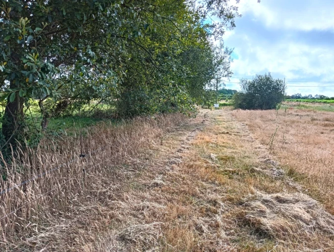 Terreno Agricola ou Rústico para Venda em Cacia Foto 18