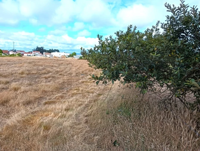 Terreno Agricola ou Rústico para Venda em Cacia Foto 19