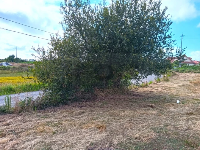 Terreno Agricola ou Rústico para Venda em Cacia Foto 20