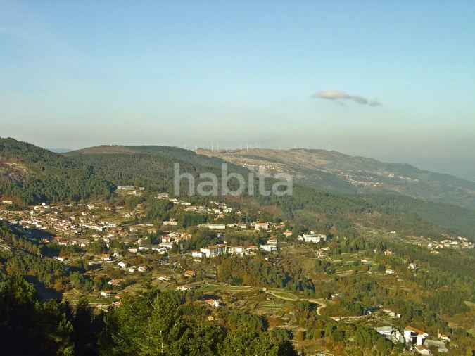 Terreno para Venda em Guardão Foto 9