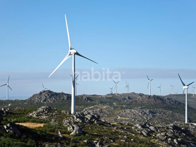Terreno para Venda em Guardão Foto 14