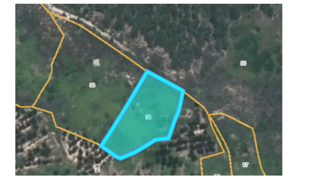 Terreno Agricola ou Rústico para Venda em Mação, Penhascoso e Aboboreira Foto 4