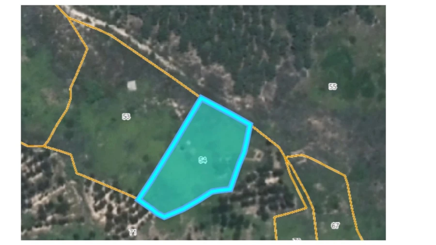 Terreno Agricola ou Rústico para Venda em Mação, Penhascoso e Aboboreira Foto 4