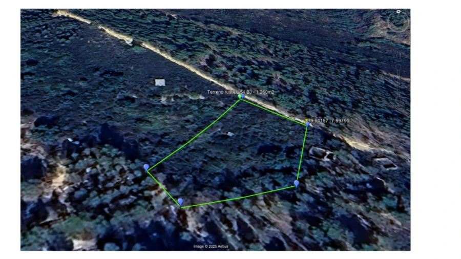 Terreno Agricola ou Rústico para Venda em Mação, Penhascoso e Aboboreira Foto 3