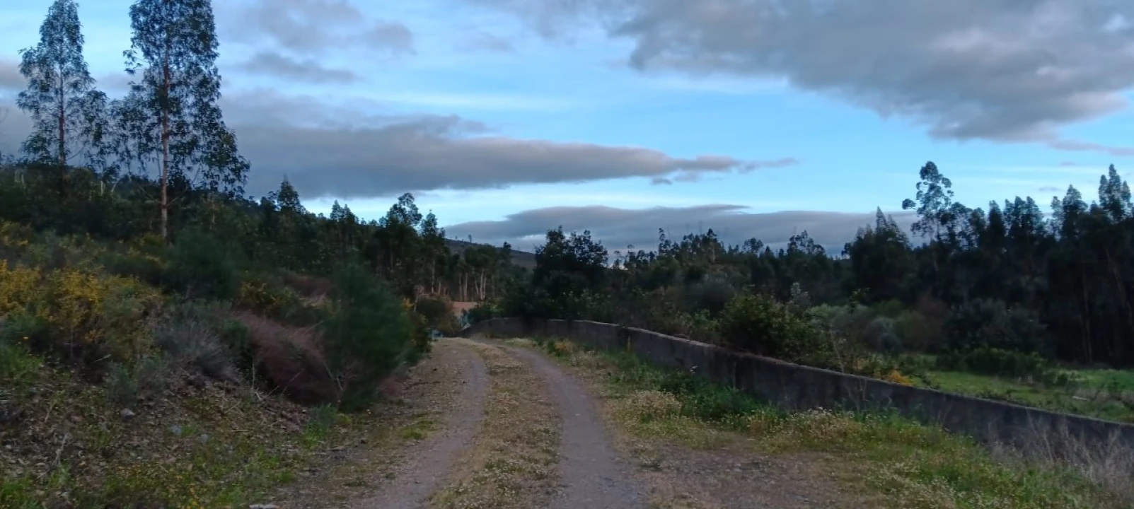 Terreno Agricola ou Rústico para Venda em Mação, Penhascoso e Aboboreira Foto 8