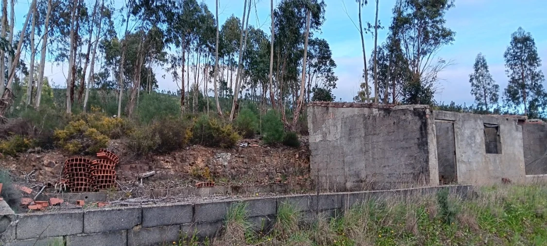 Terreno Agricola ou Rústico para Venda em Mação, Penhascoso e Aboboreira Foto 2