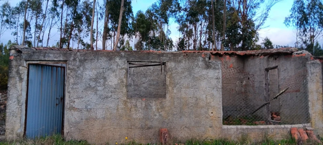 Terreno Agricola ou Rústico para Venda em Mação, Penhascoso e Aboboreira Foto 3