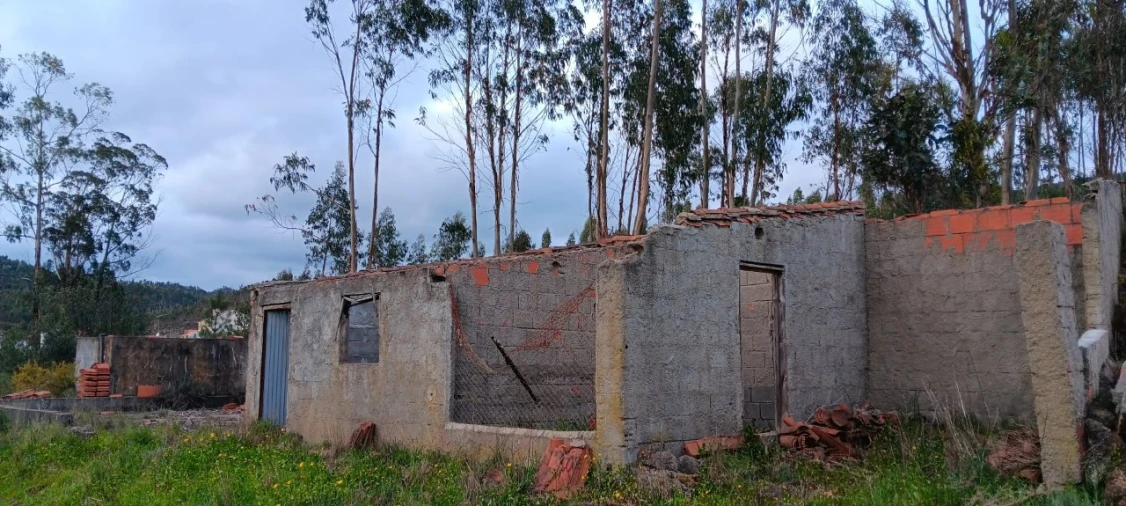 Terreno Agricola ou Rústico para Venda em Mação, Penhascoso e Aboboreira Foto 1
