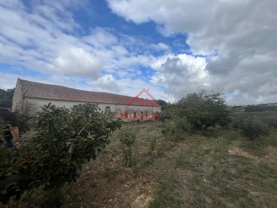 Quinta T3 para Venda em Carvalhal Foto 1