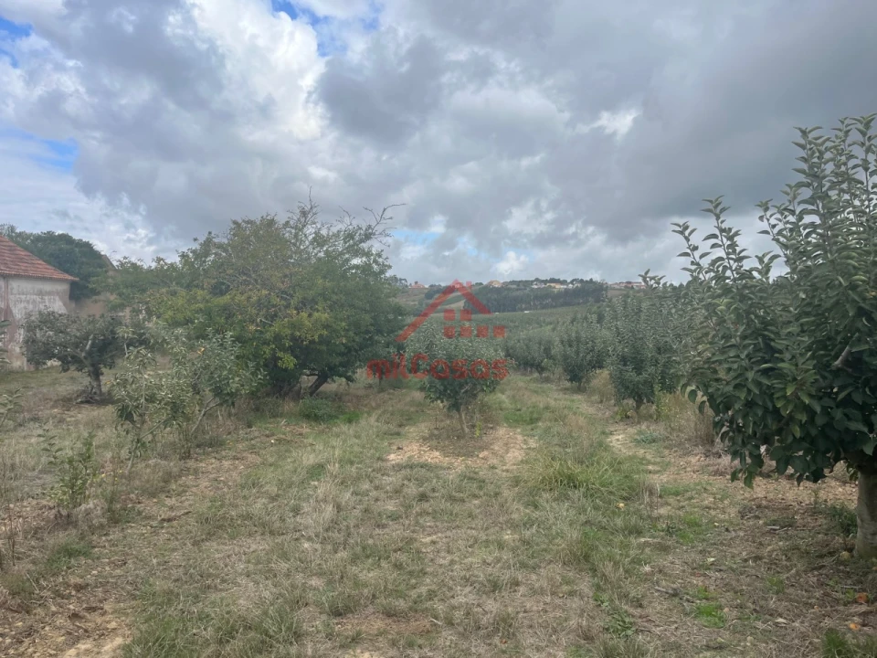 Quinta T3 para Venda em Carvalhal Foto 3