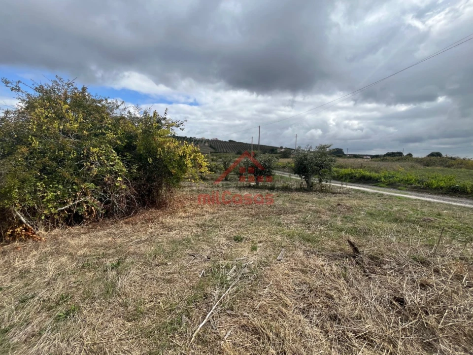 Quinta T3 para Venda em Carvalhal Foto 22