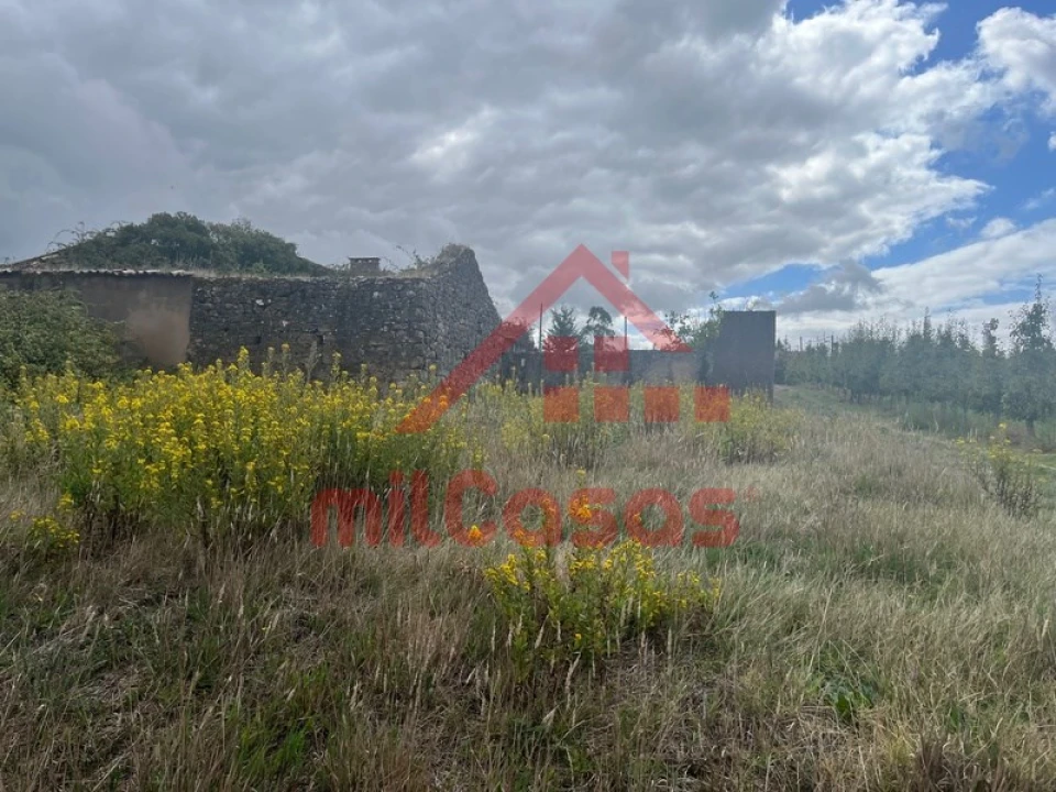 Moradia T3 para Venda em Carvalhal Foto 17