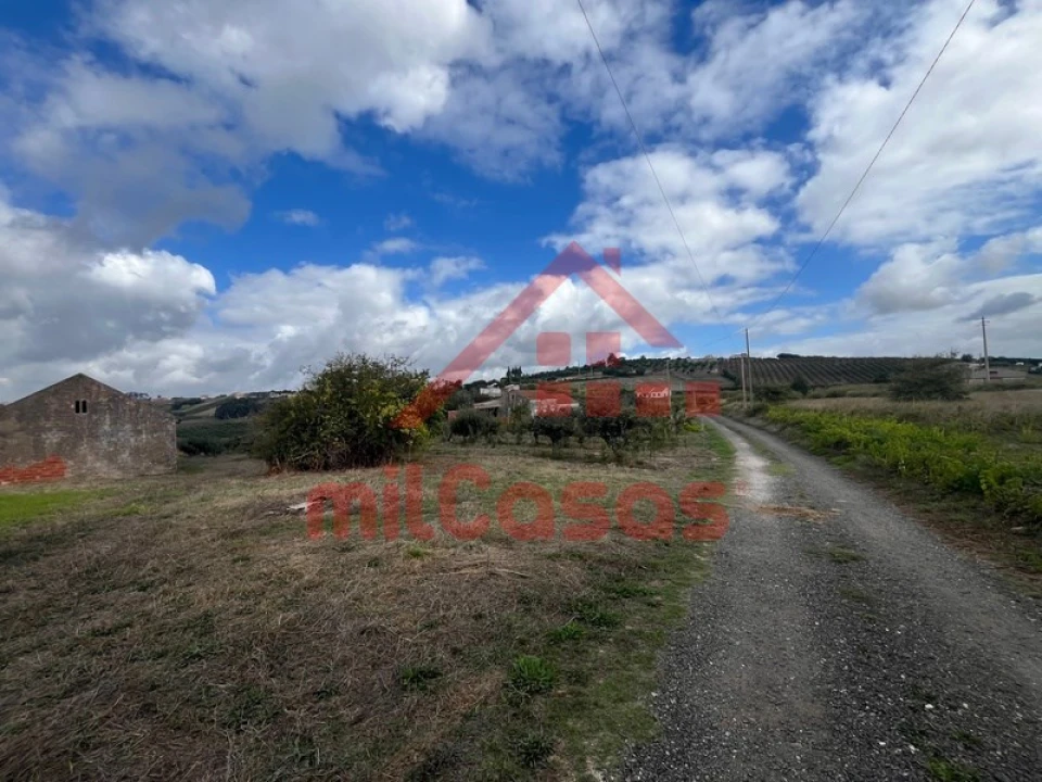 Moradia T3 para Venda em Carvalhal Foto 23