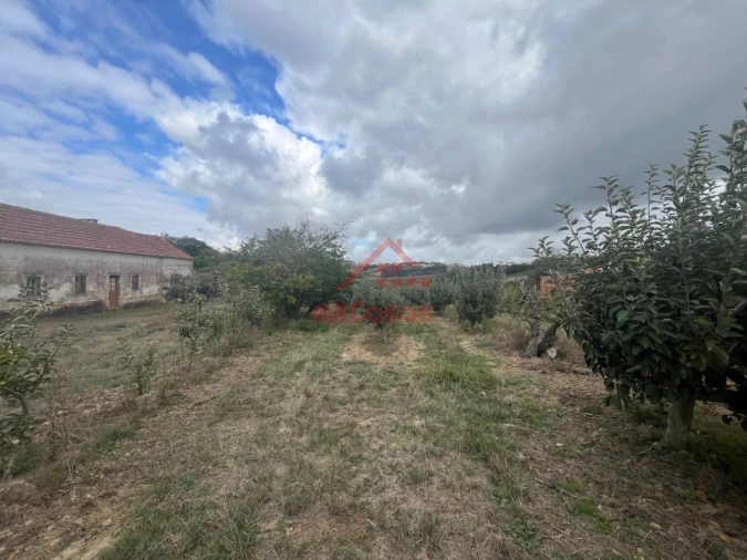 Quinta T3 para Venda em Carvalhal Foto 2