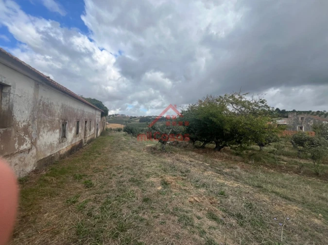 Quinta T3 para Venda em Carvalhal Foto 5