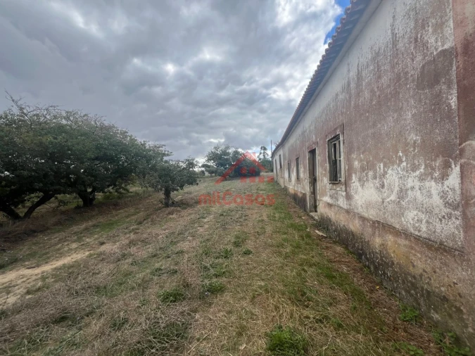 Quinta T3 para Venda em Carvalhal Foto 14