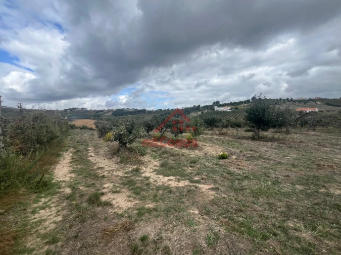 Quinta T3 para Venda em Carvalhal Foto 19