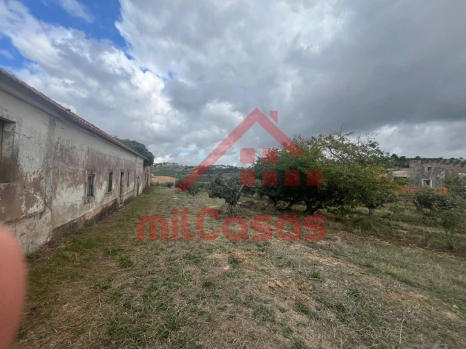 Moradia T3 para Venda em Carvalhal Foto 5