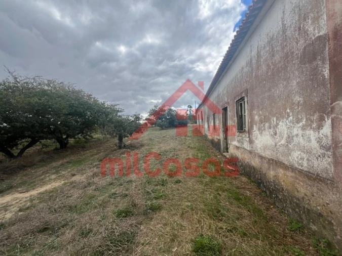 Moradia T3 para Venda em Carvalhal Foto 14