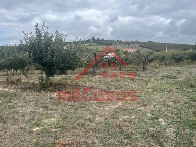 Moradia T3 para Venda em Carvalhal Foto 16