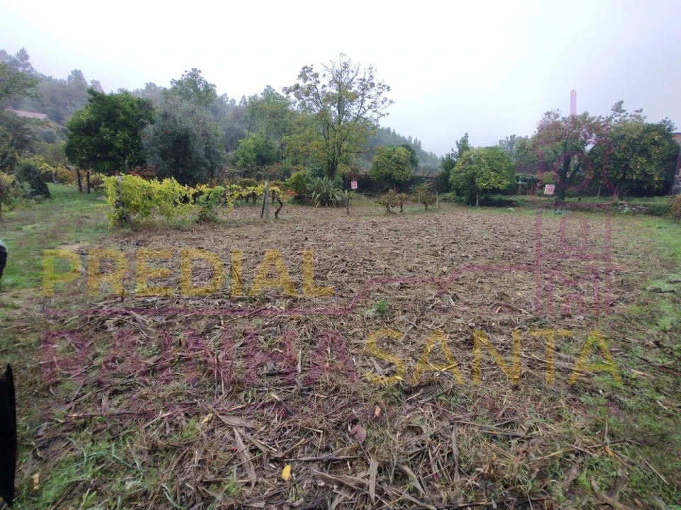 Moradia T2 para Venda em Caparrosa e Silvares Foto 13