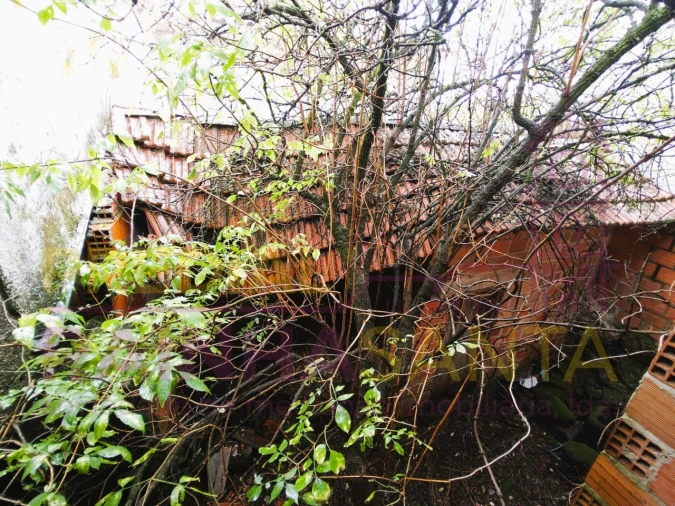 Moradia T2 para Venda em Caparrosa e Silvares Foto 10