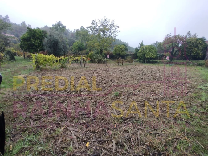 Moradia T2 para Venda em Caparrosa e Silvares Foto 13