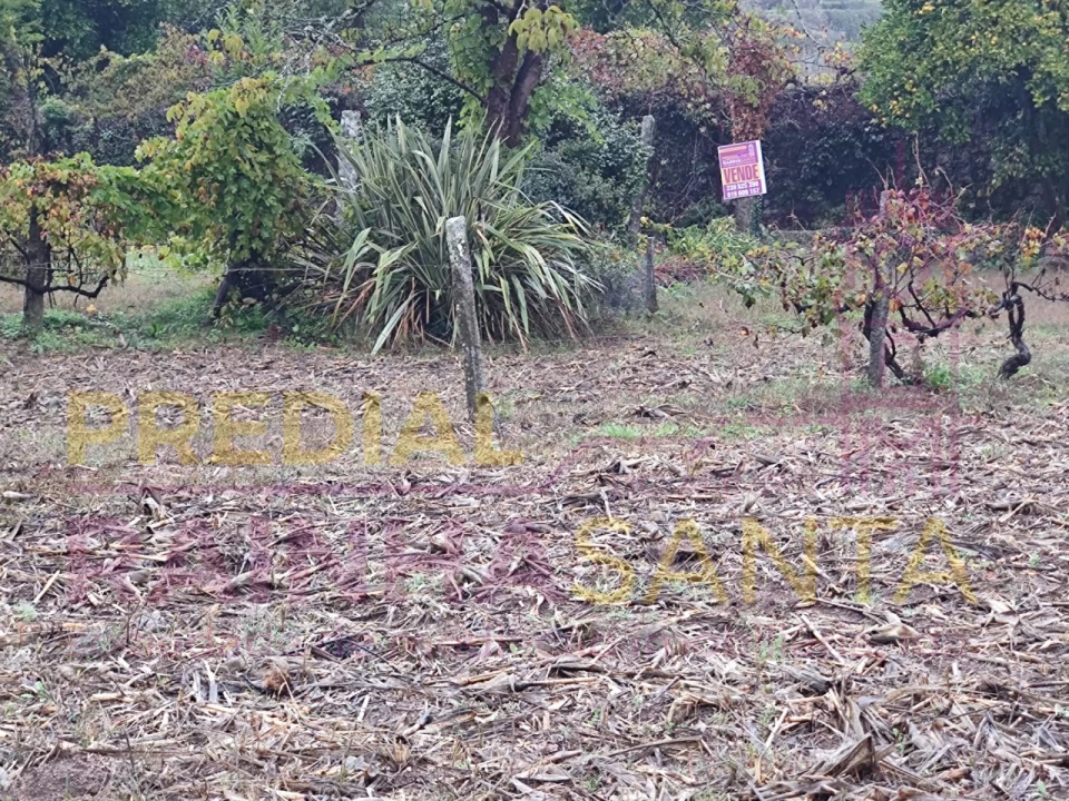 Terreno Agricola ou Rústico para Venda em Caparrosa e Silvares Foto 1