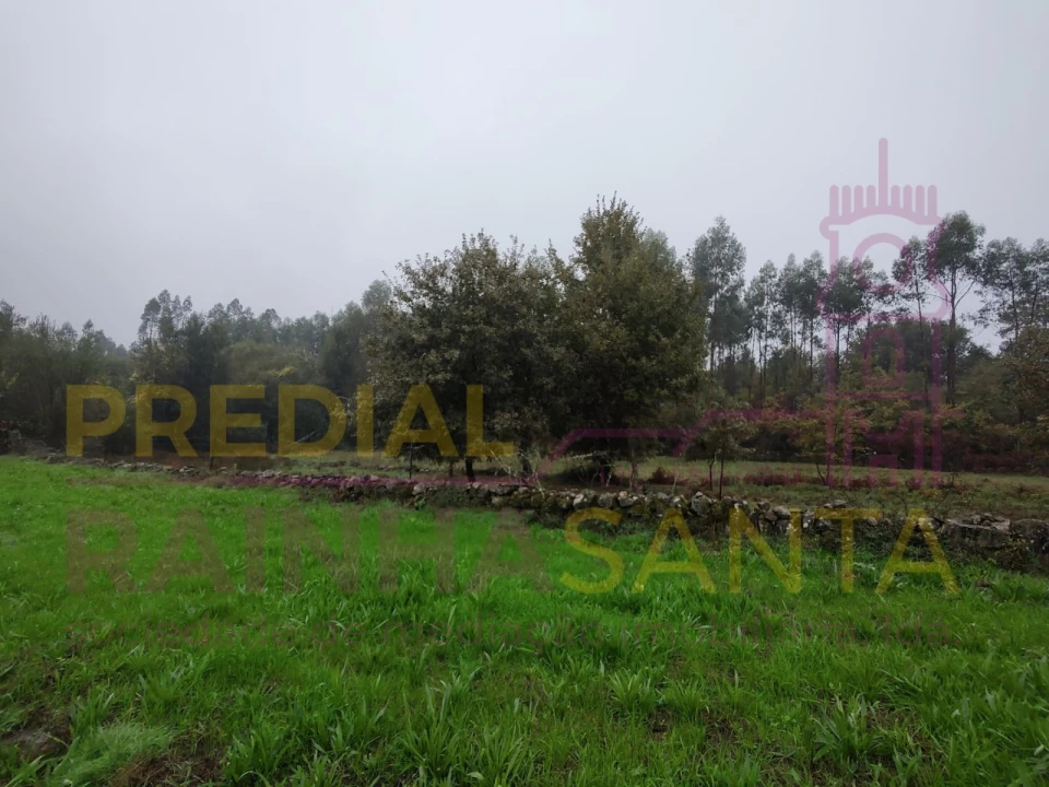 Terreno Agricola ou Rústico para Venda em Caparrosa e Silvares Foto 6
