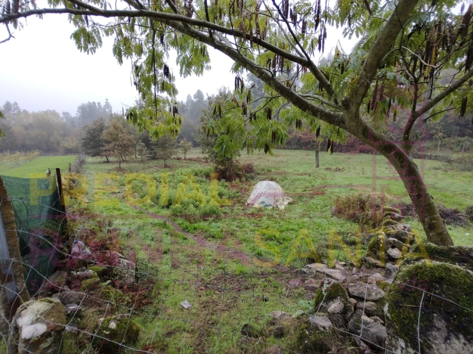 Terreno Agricola ou Rústico para Venda em Caparrosa e Silvares Foto 11