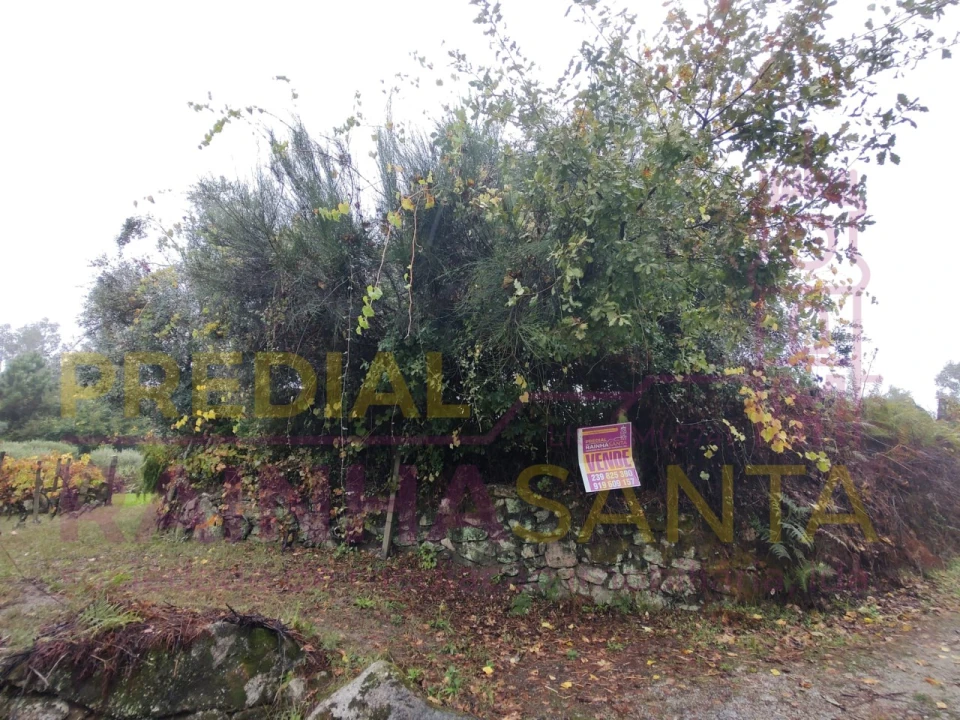 Terreno Agricola ou Rústico para Venda em Caparrosa e Silvares Foto 14