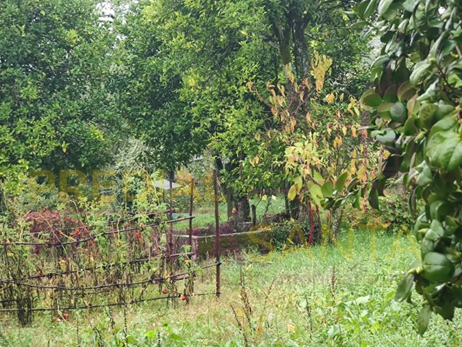 Terreno Agricola ou Rústico para Venda em Caparrosa e Silvares Foto 3