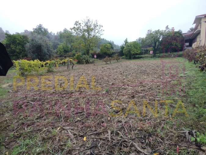 Terreno Agricola ou Rústico para Venda em Caparrosa e Silvares Foto 5