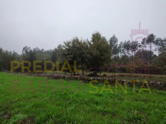 Terreno Agricola ou Rústico para Venda em Caparrosa e Silvares Foto 6