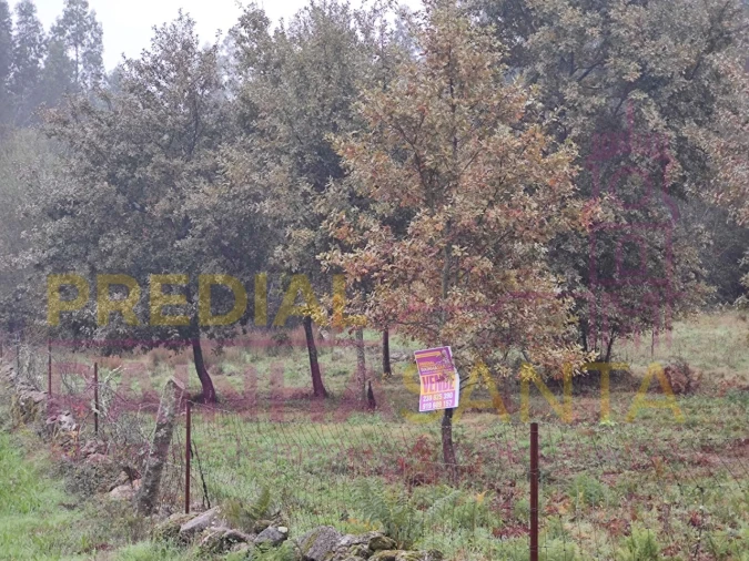 Terreno Agricola ou Rústico para Venda em Caparrosa e Silvares Foto 9