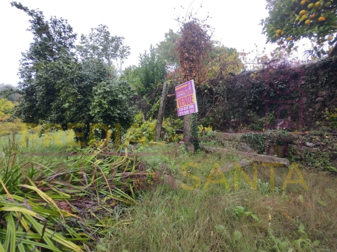 Terreno Agricola ou Rústico para Venda em Caparrosa e Silvares Foto 10