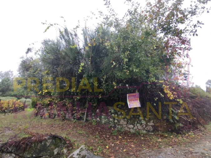 Terreno Agricola ou Rústico para Venda em Caparrosa e Silvares Foto 14