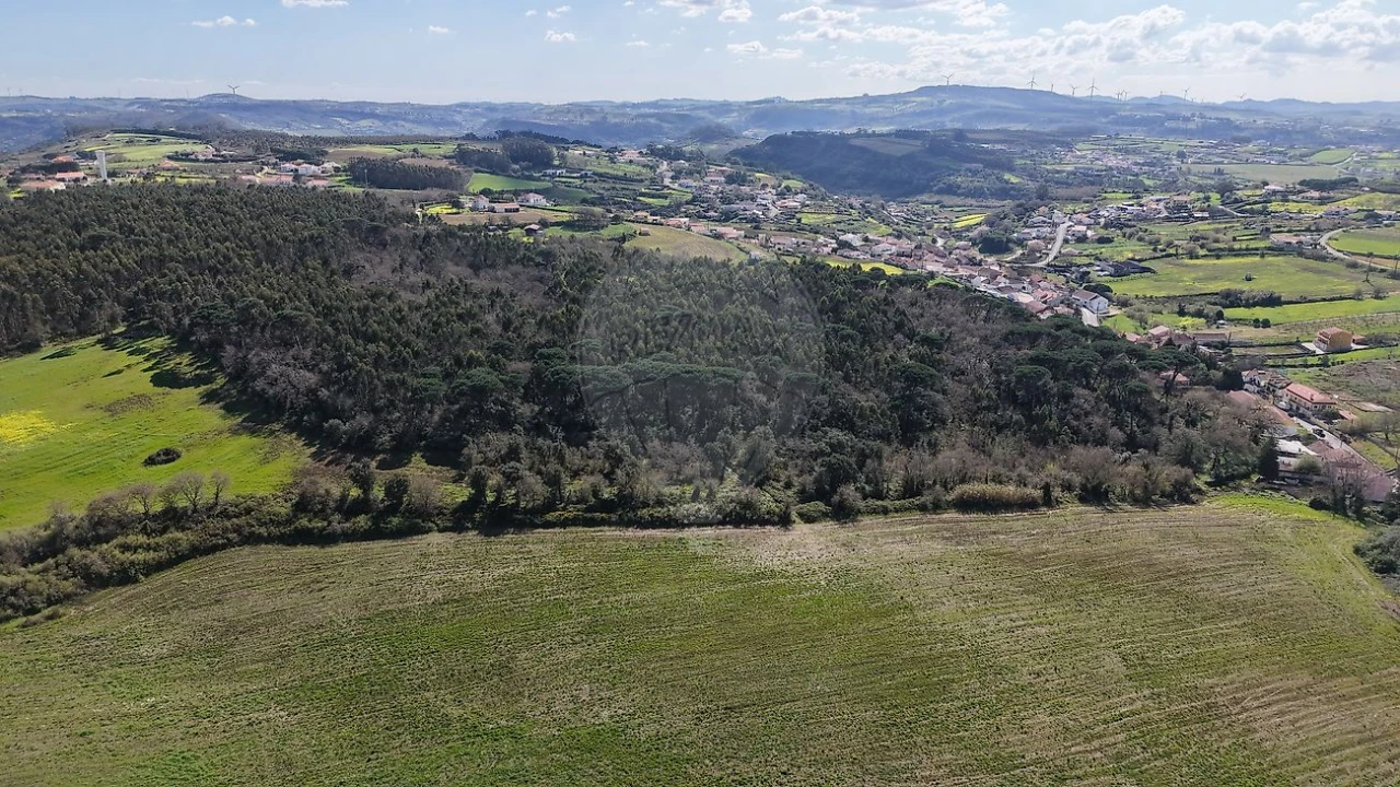 Terreno para Venda em Santo Quintino Foto 16