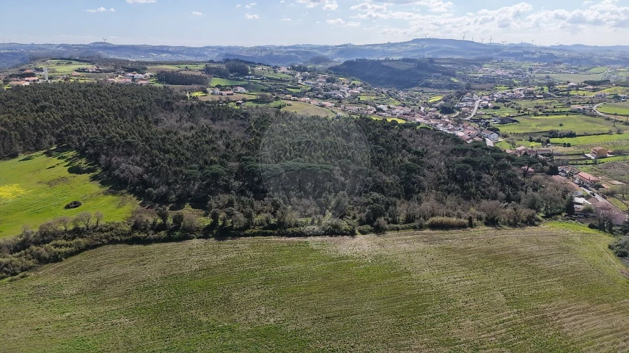 Terreno para Venda em Santo Quintino Foto 16