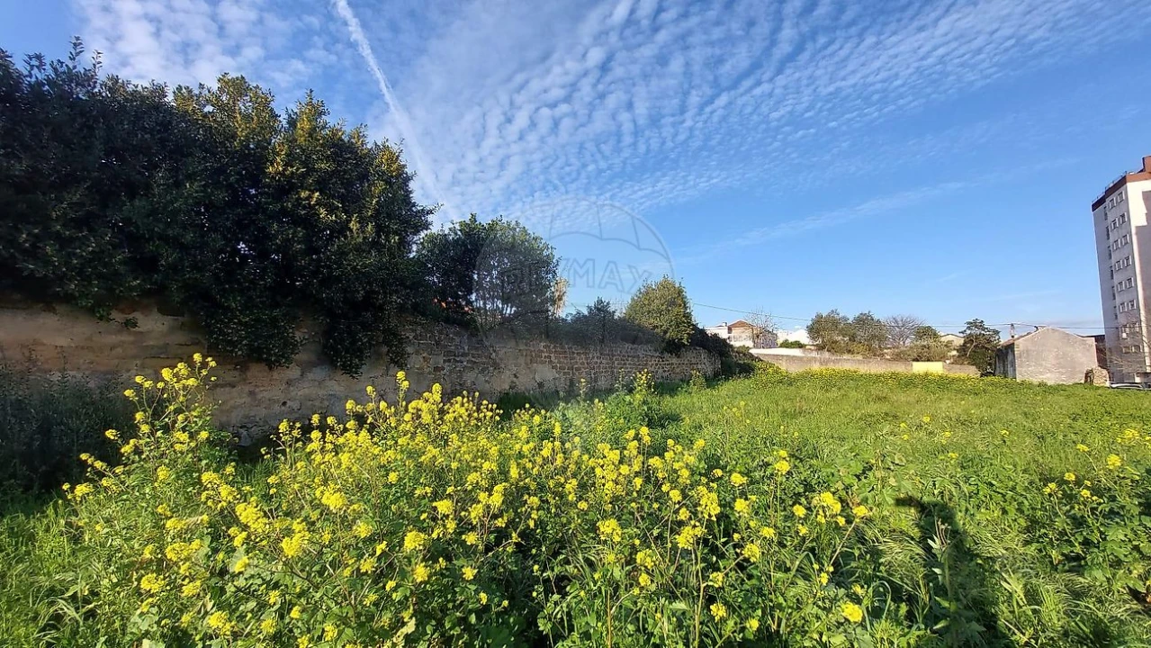 Terreno para Venda em Rio Maior Foto 21