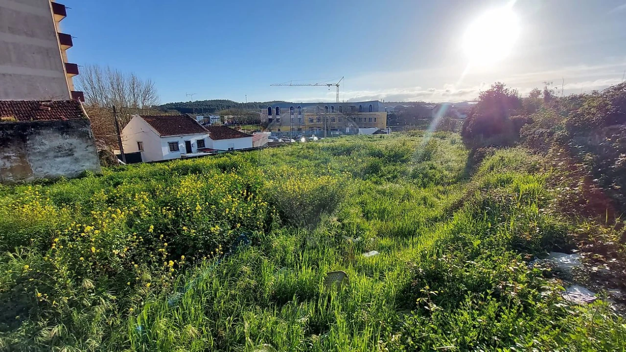 Terreno para Venda em Rio Maior Foto 15