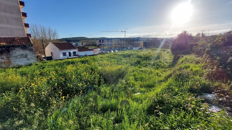 Terreno para Venda em Rio Maior Foto 15