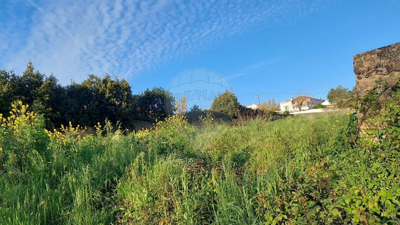 Terreno para Venda em Rio Maior Foto 16