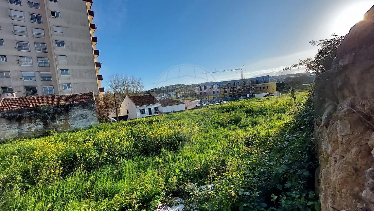 Terreno para Venda em Rio Maior Foto 13